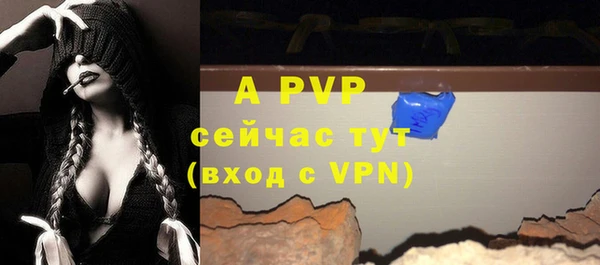 дживик Аркадак