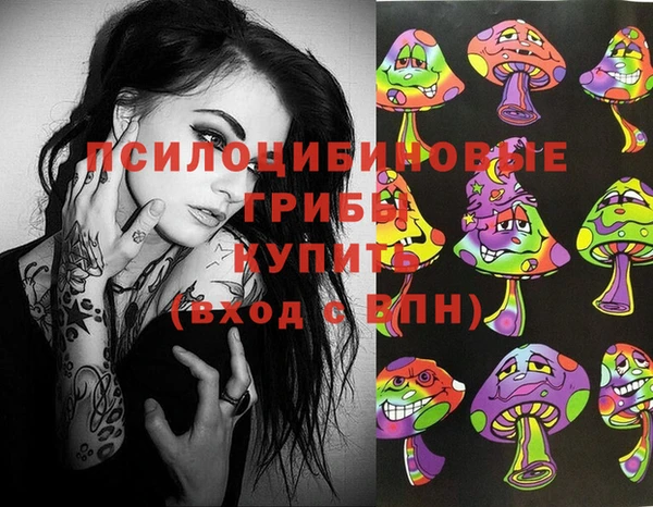 соль ск Армянск