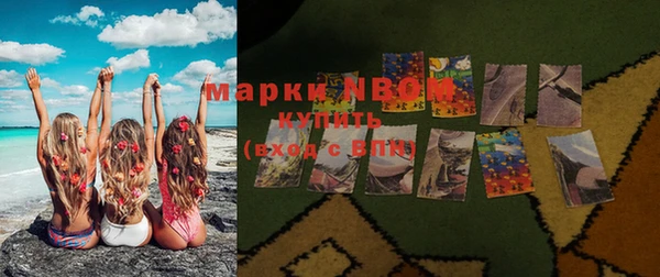 крисы Няндома