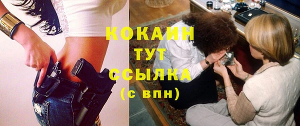 дживик Аркадак