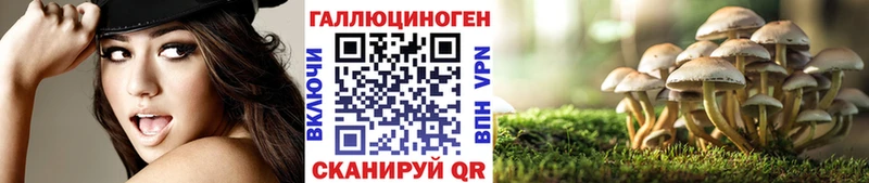 сайты даркнета наркотические препараты  блэк спрут зеркало  Морозовск  Галлюциногенные грибы Magic Shrooms 